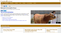 Desktop Screenshot of cornwallinfocus.co.uk